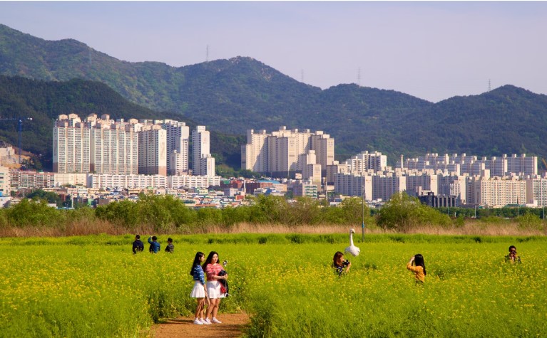 Công Viên Daejeo Ecological