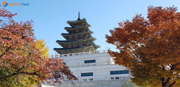Quang cảnh bên trong cung điện Gyeongbok