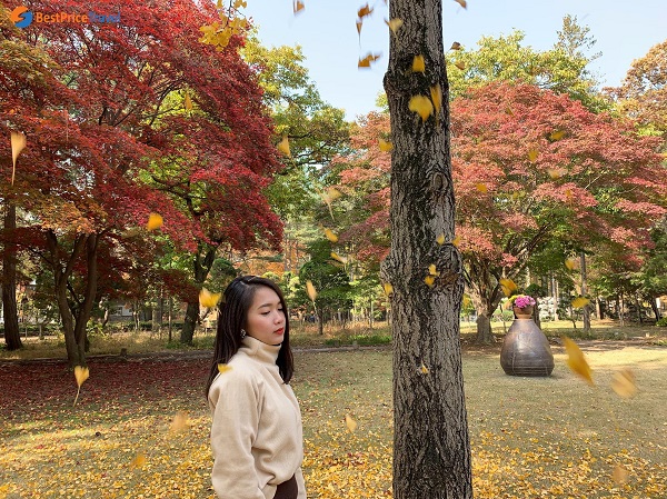 Mùa thu là thời điểm đẹp nhất để du lịch Hàn Quốc